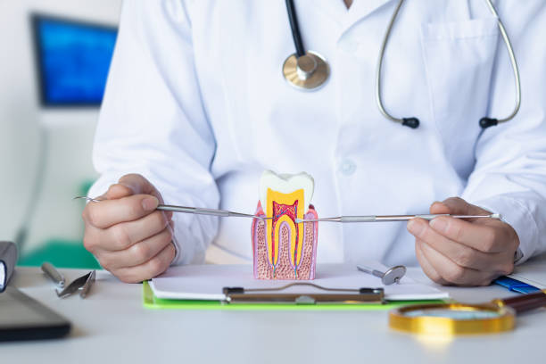 Best Emergency Root Canal Treatment in Corning, AR